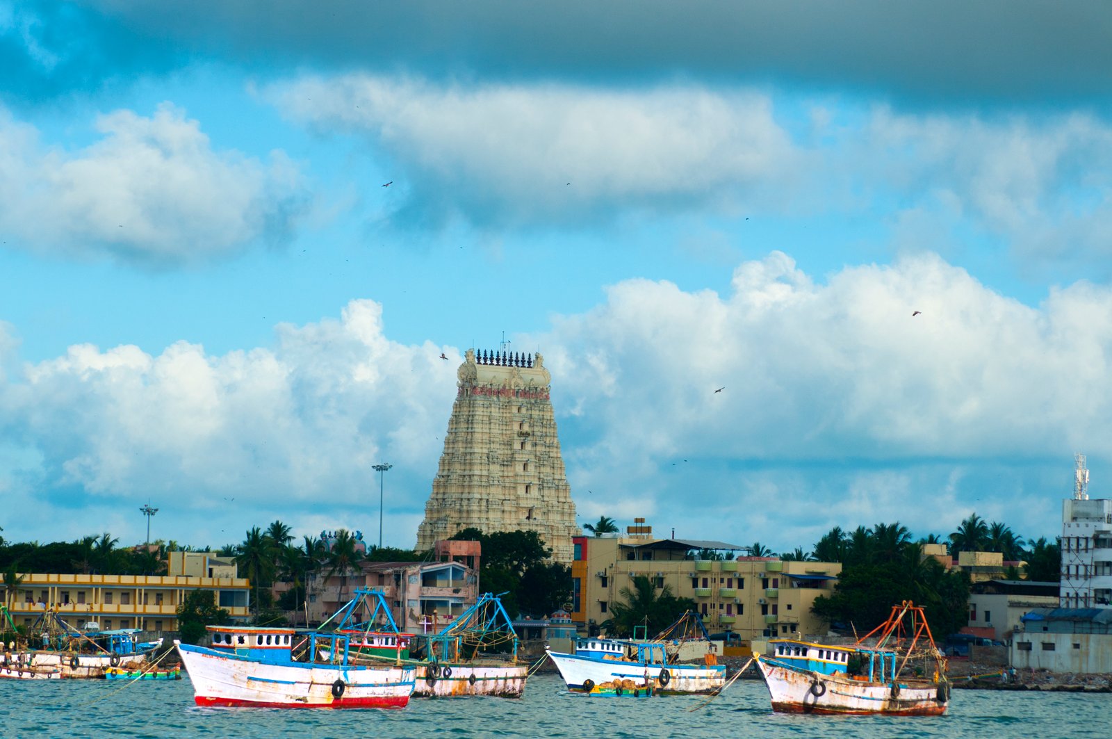 Dhanushkodi Dhanushkodi